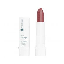 Bell - *Vegan Collagen* - Barra de labios HypoAllergenic Plumping Color Lipstick - 01: Choco